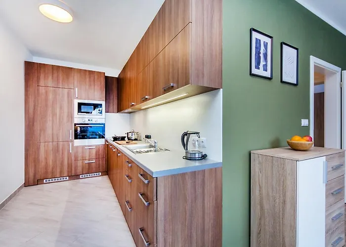 Apartamento Rezidence Svehlova *